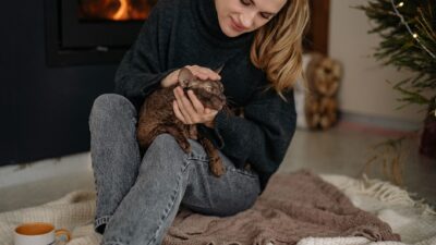pet winter care 6617494