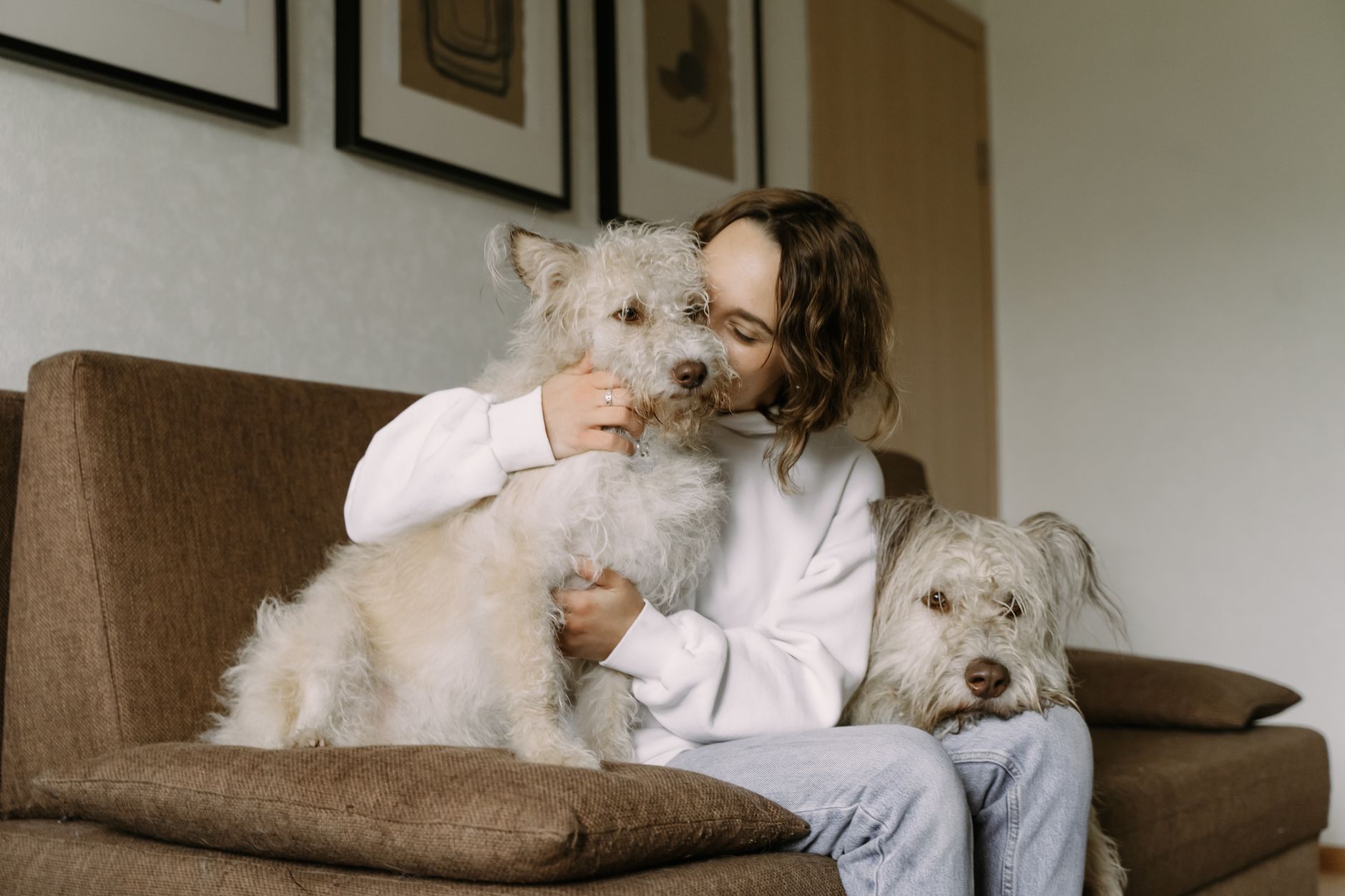 En Çok Tercih Edilen Köpek Irkları ve Özellikleri