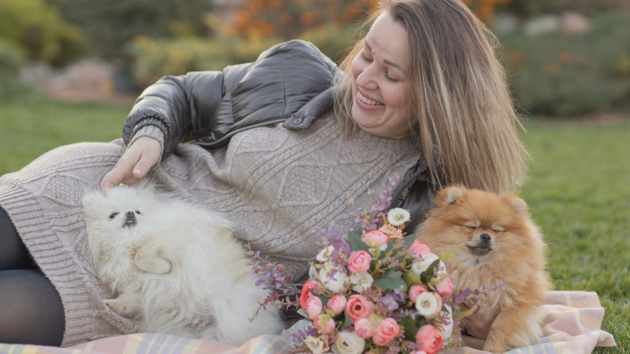 pregnant dog nutrition 5859472