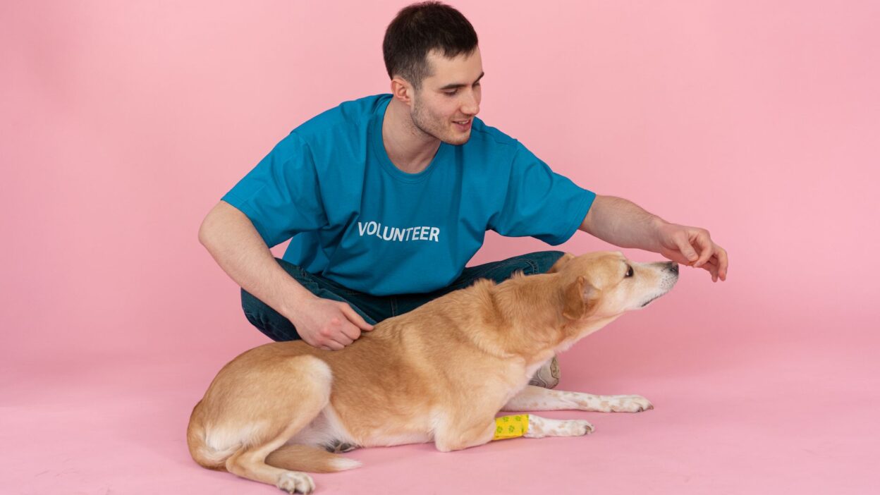 veterinary appointment 7474348