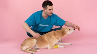 veterinary appointment 7474348