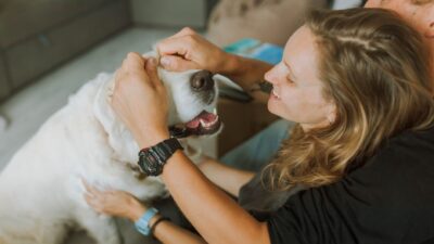 veterinary checkup 5495104