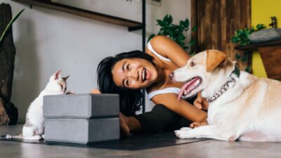 pet health 14751278