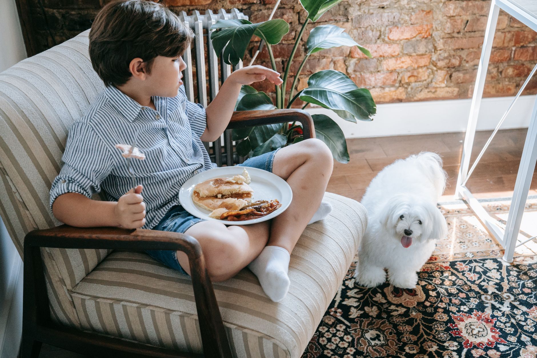 Köpek Mama Seçimi: Yaşa ve Irka Göre Doğru Besl...